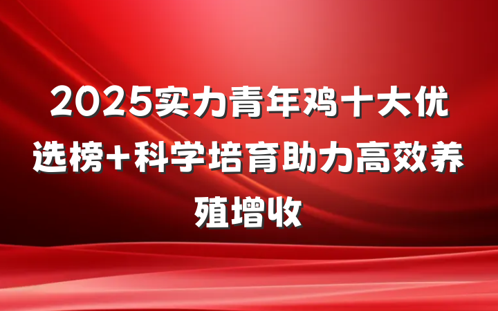 2025实力青年鸡十大优选榜 科学培育助力高效养殖增收