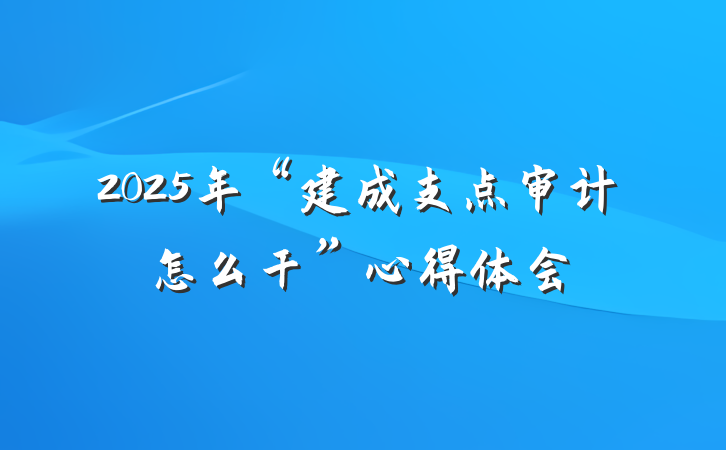 2025年“建成支点审计怎么干”心得体会