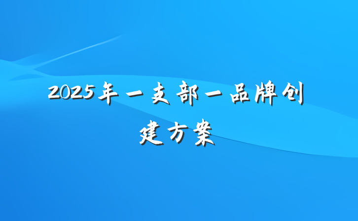 2025年一支部一品牌创建方案