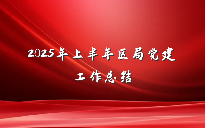 2025年上半年区局党建工作总结