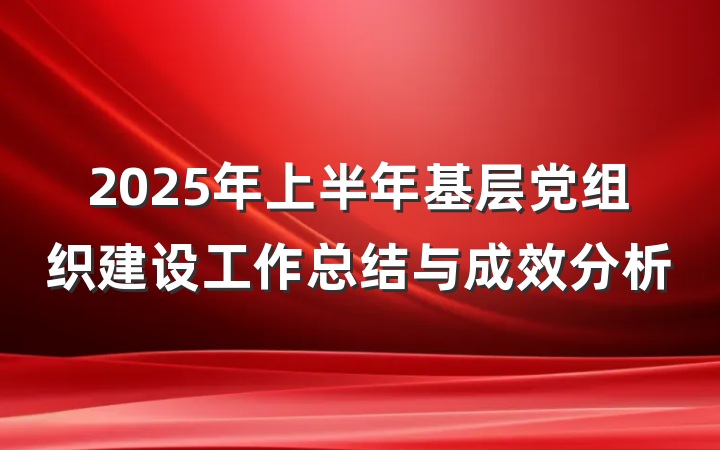 2025年上半年基层党组织建设工作总结与成效分析