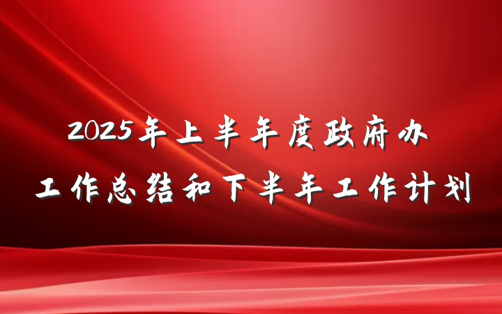 2025年上半年度政府办工作总结和下半年工作计划