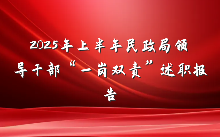 2025年上半年民政局领导干部“一岗双责”述职报告