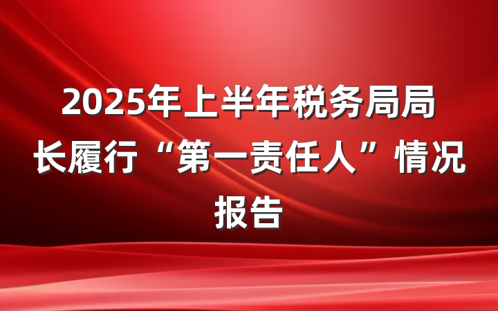 2025年上半年税务局局长履行“第一责任人”情况报告