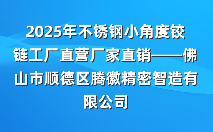 2025年不锈钢小角度铰链工厂直营厂家直销——佛山市顺德区腾徽精密智造有限公司