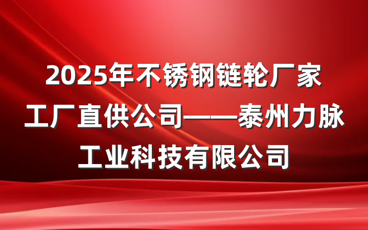 2025年不锈钢链轮厂家工厂直供公司——泰州力脉工业科技有限公司