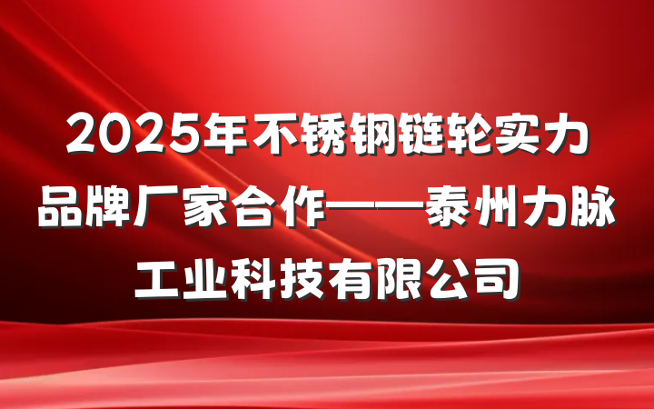 2025年不锈钢链轮实力品牌厂家合作——泰州力脉工业科技有限公司