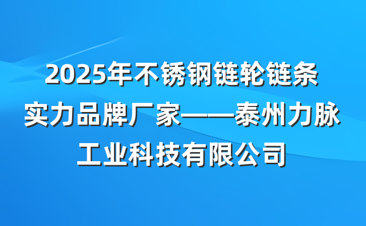 2025年不锈钢链轮链条实力品牌厂家——泰州力脉工业科技有限公司