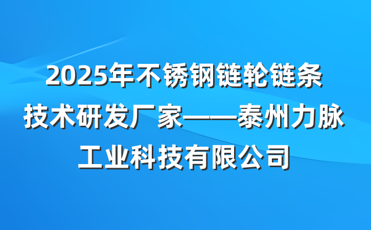 2025年不锈钢链轮链条技术研发厂家——泰州力脉工业科技有限公司