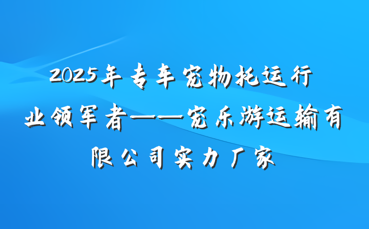 2025年专车宠物托运行业领军者——宠乐游运输有限公司实力厂家