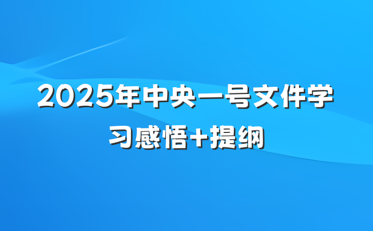 2025年中央一号文件学习感悟 提纲
