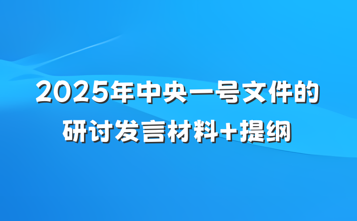 2025年中央一号文件的研讨发言材料 提纲