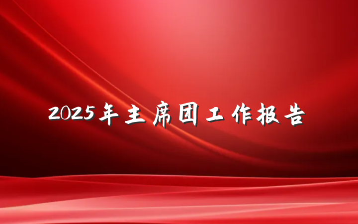 2025年主席团工作报告