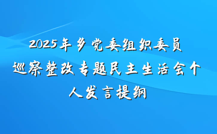 2025年乡党委组织委员巡察整改专题民主生活会个人发言提纲