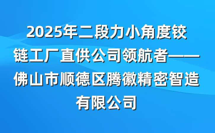 2025年二段力小角度铰链工厂直供公司领航者——佛山市顺德区腾徽精密智造有限公司