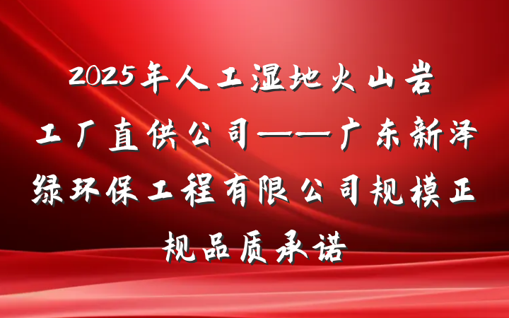 2025年人工湿地火山岩工厂直供公司——广东新泽绿环保工程有限公司规模正规品质承诺