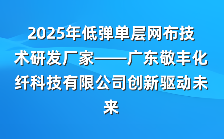 2025年低弹单层网布技术研发厂家——广东敬丰化纤科技有限公司创新驱动未来