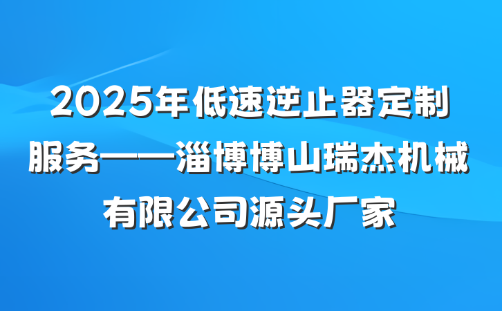 2025年低速逆止器定制服务——淄博博山瑞杰机械有限公司源头厂家