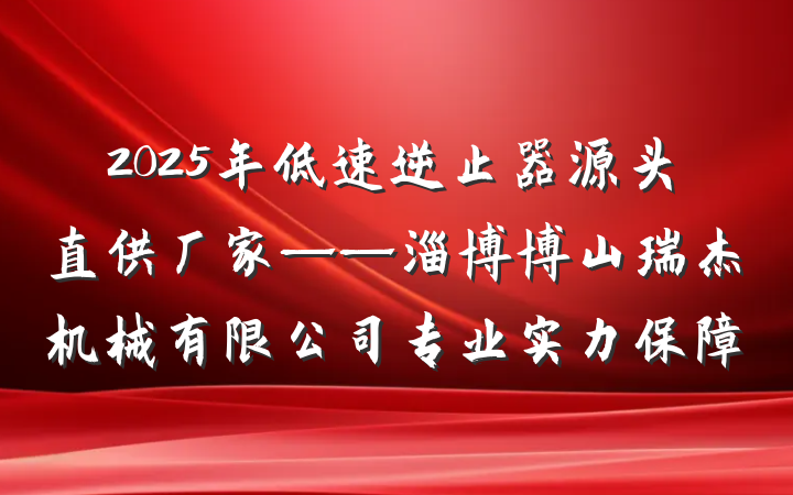 2025年低速逆止器源头直供厂家——淄博博山瑞杰机械有限公司专业实力保障