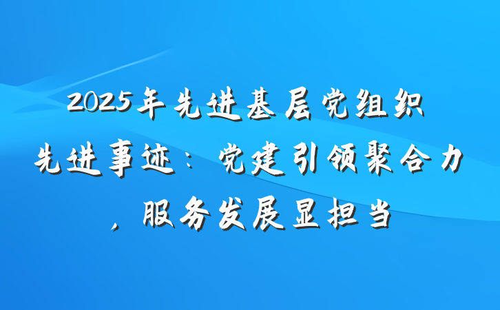 2025年先进基层党组织先进事迹：党建引领聚合力，服务发展显担当