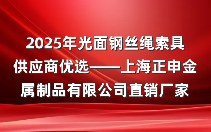 2025年光面钢丝绳索具供应商优选——上海正申金属制品有限公司直销厂家