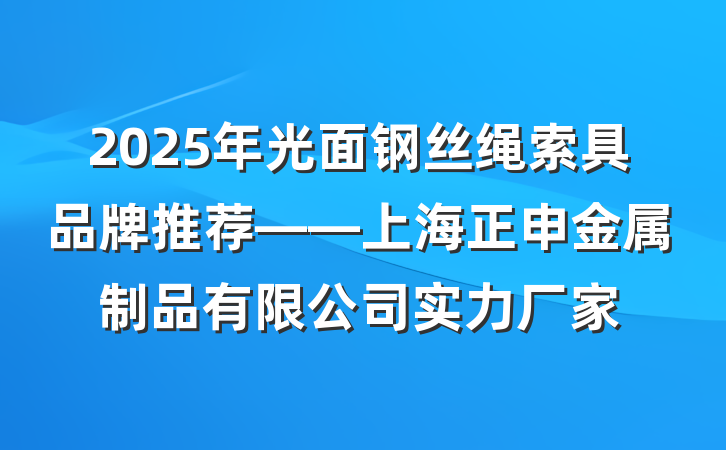 2025年光面钢丝绳索具品牌推荐——上海正申金属制品有限公司实力厂家