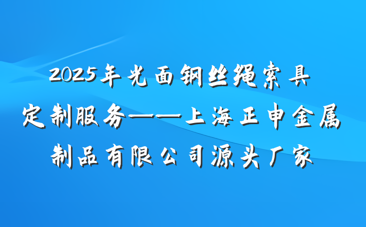 2025年光面钢丝绳索具定制服务——上海正申金属制品有限公司源头厂家