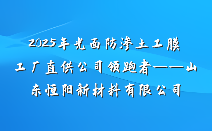 2025年光面防渗土工膜工厂直供公司领跑者——山东恒阳新材料有限公司