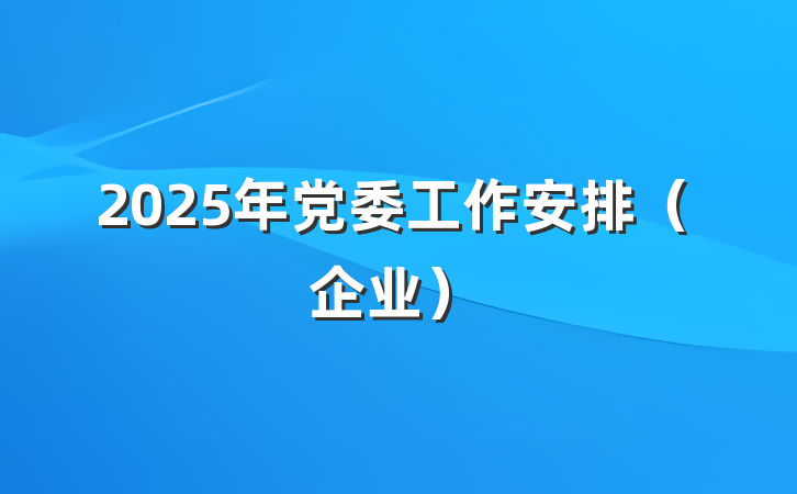 2025年党委工作安排（企业）