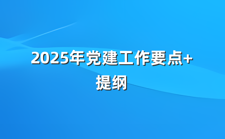 2025年党建工作要点 提纲