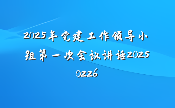 2025年党建工作领导小组第一次会议讲话20250226