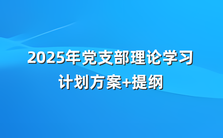 2025年党支部理论学习计划方案 提纲