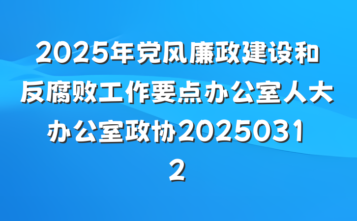 2025年党风廉政建设和反腐败工作要点办公室人大办公室政协20250312