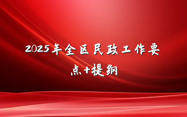 2025年全区民政工作要点 提纲