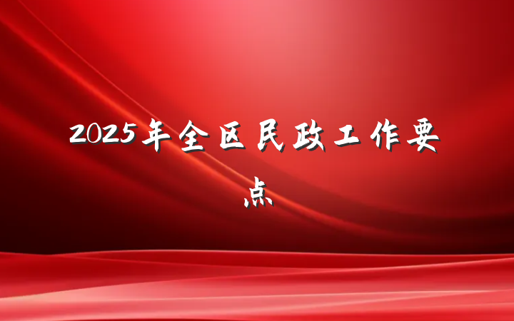 2025年全区民政工作要点