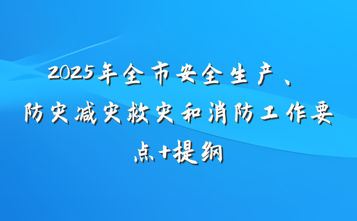 2025年全市安全生产、防灾减灾救灾和消防工作要点 提纲