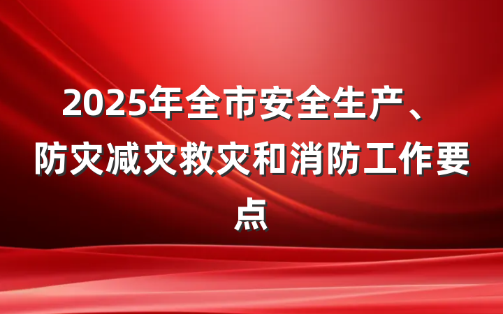 2025年全市安全生产、防灾减灾救灾和消防工作要点