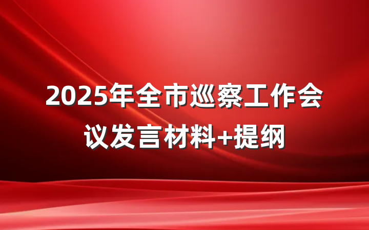 2025年全市巡察工作会议发言材料 提纲
