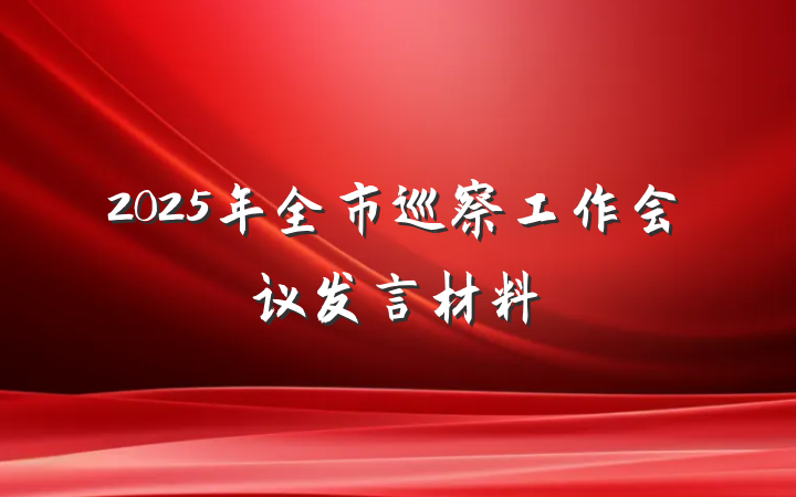 2025年全市巡察工作会议发言材料
