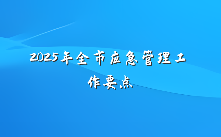 2025年全市应急管理工作要点