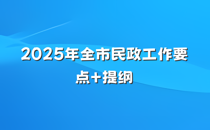 2025年全市民政工作要点 提纲
