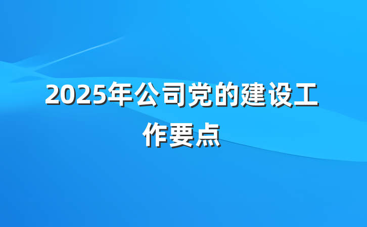2025年公司党的建设工作要点