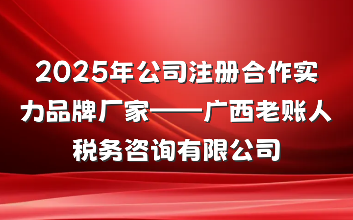 2025年公司注册合作实力品牌厂家——广西老账人税务咨询有限公司