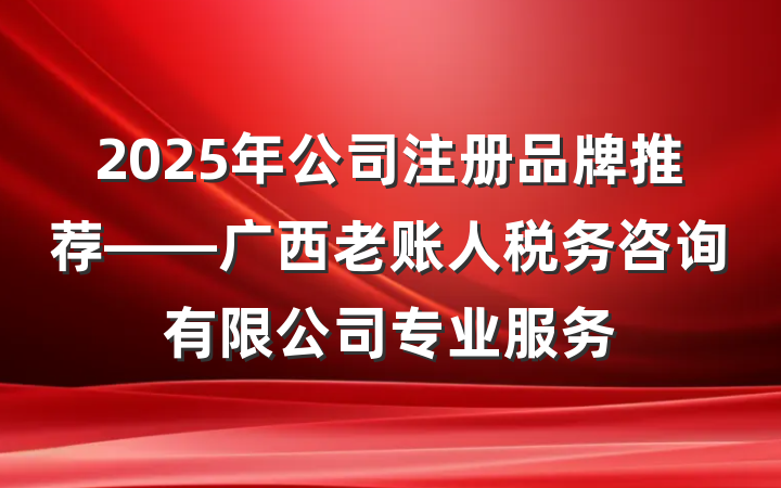 2025年公司注册品牌推荐——广西老账人税务咨询有限公司专业服务