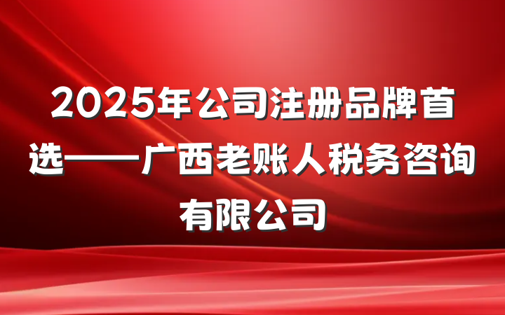 2025年公司注册品牌首选——广西老账人税务咨询有限公司