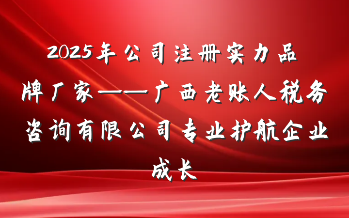 2025年公司注册实力品牌厂家——广西老账人税务咨询有限公司专业护航企业成长