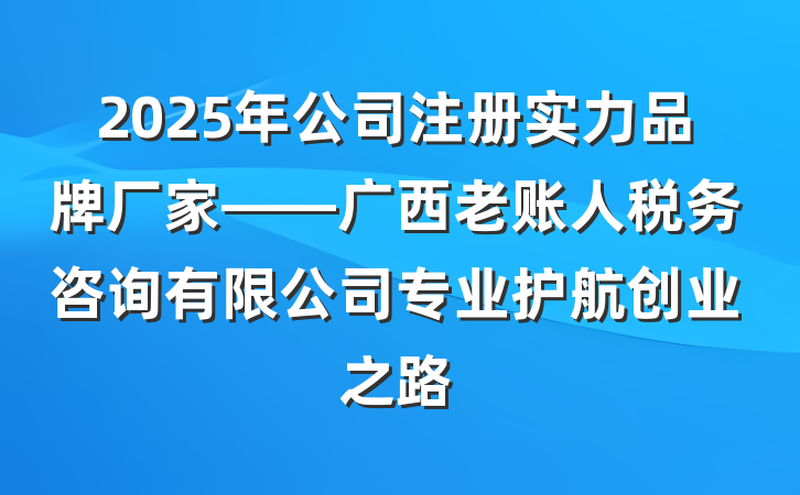2025年公司注册实力品牌厂家——广西老账人税务咨询有限公司专业护航创业之路