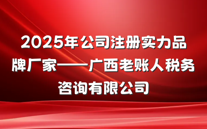 2025年公司注册实力品牌厂家——广西老账人税务咨询有限公司