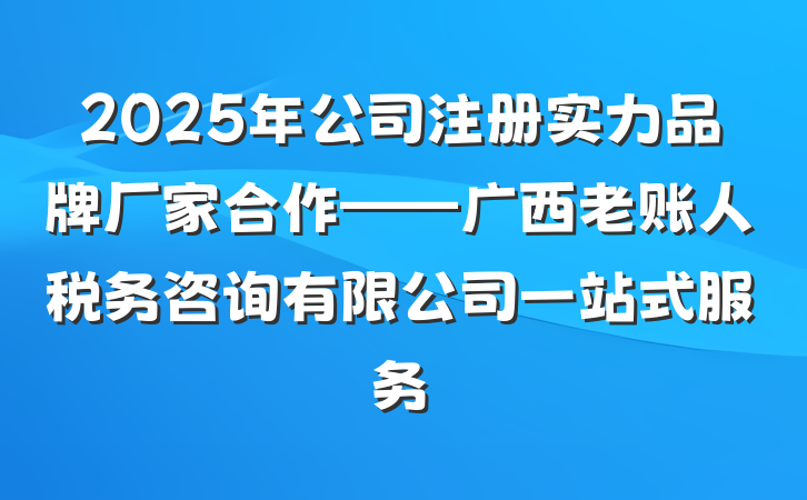 2025年公司注册实力品牌厂家合作——广西老账人税务咨询有限公司一站式服务
