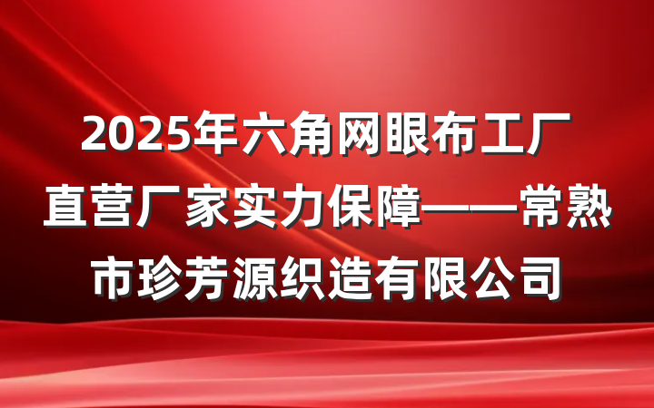 2025年六角网眼布工厂直营厂家实力保障——常熟市珍芳源织造有限公司